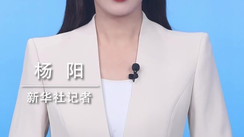 上海数据中台：揭秘数据治理的关键与挑战